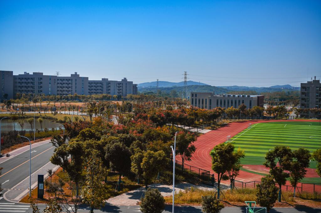 环球360会员登录秋景